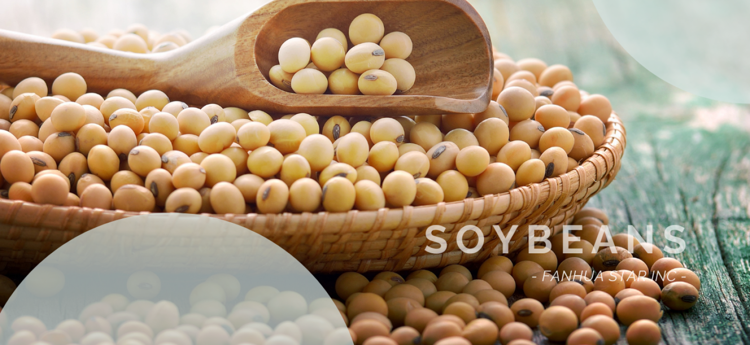 soybeans