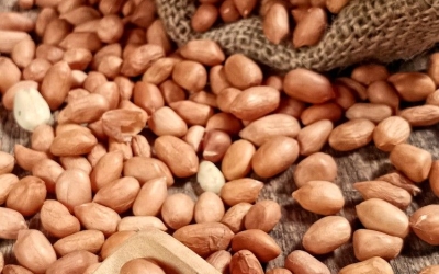 Peanuts: A Delicious Snack with Amazing Health Benefits