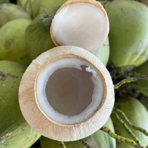 Fresh Coconut