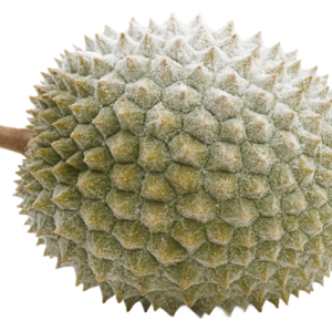 Frozen Durian