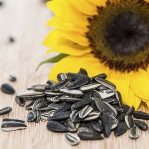 Sunflower Seeds 