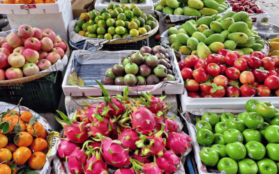 From Southeast Asia to the World: How FANHUASTARINC Delivers Premium Agricultural Products