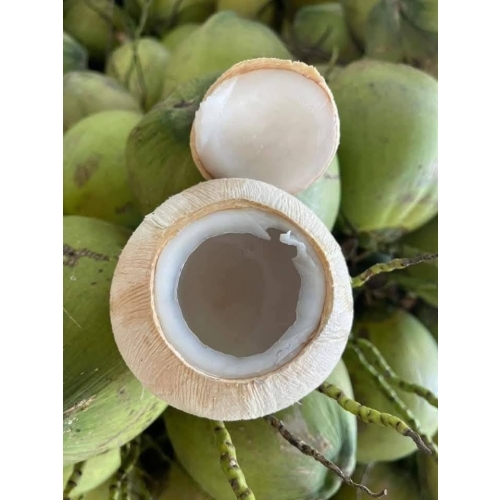 Fresh Coconut