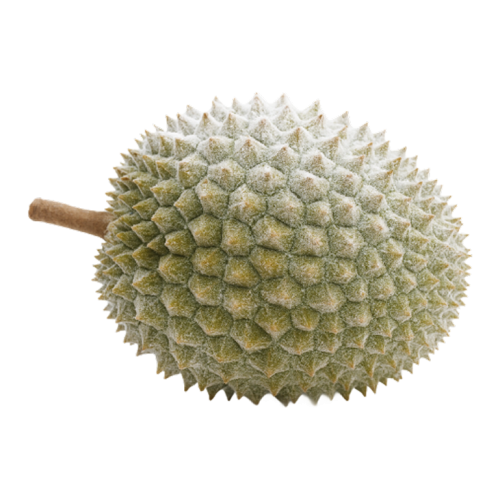Frozen Durian
