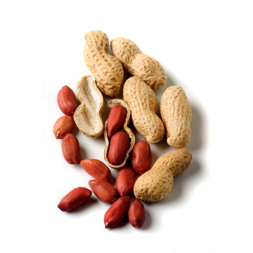 Peanuts