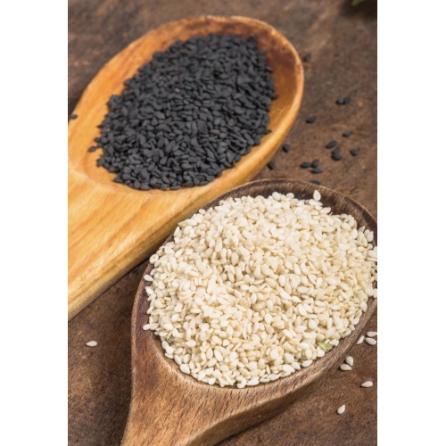 Sesame Seeds 