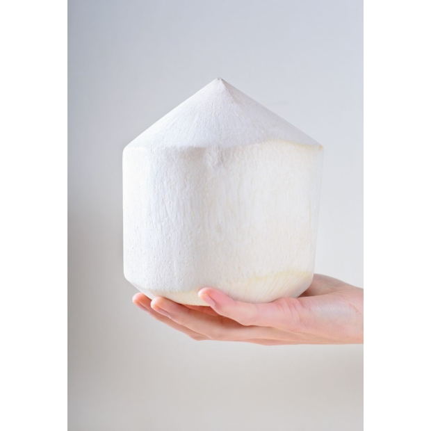 Fresh Coconut