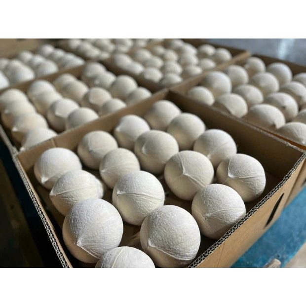 Fresh Coconut