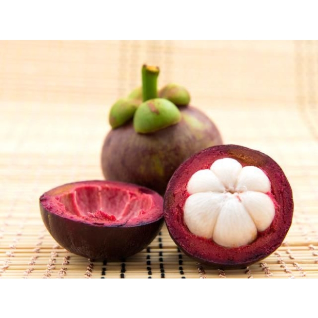 Mangosteen