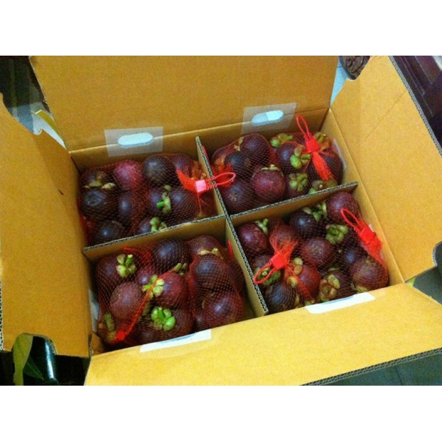 Mangosteen