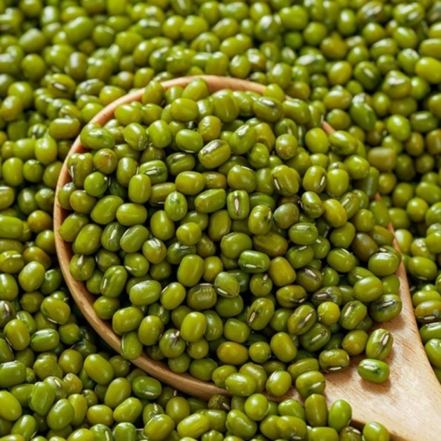 Mung Beans 