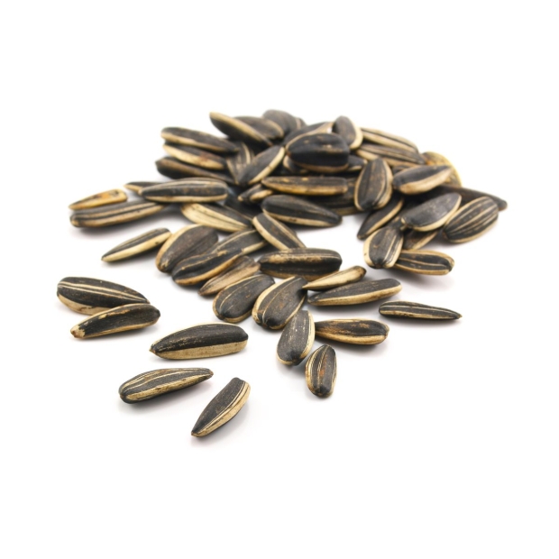 Sunflower Seeds 