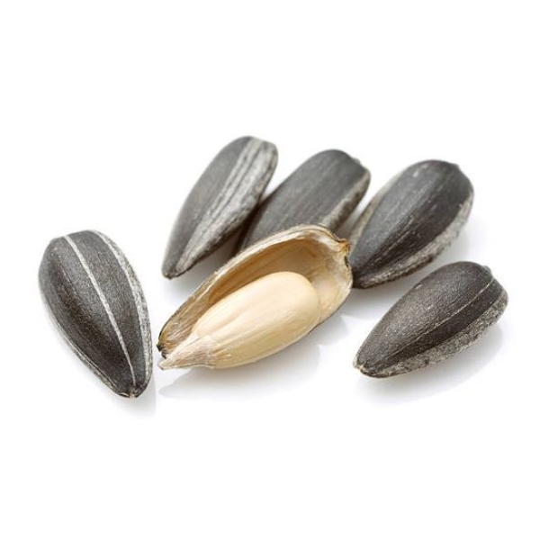 Sunflower Seeds 