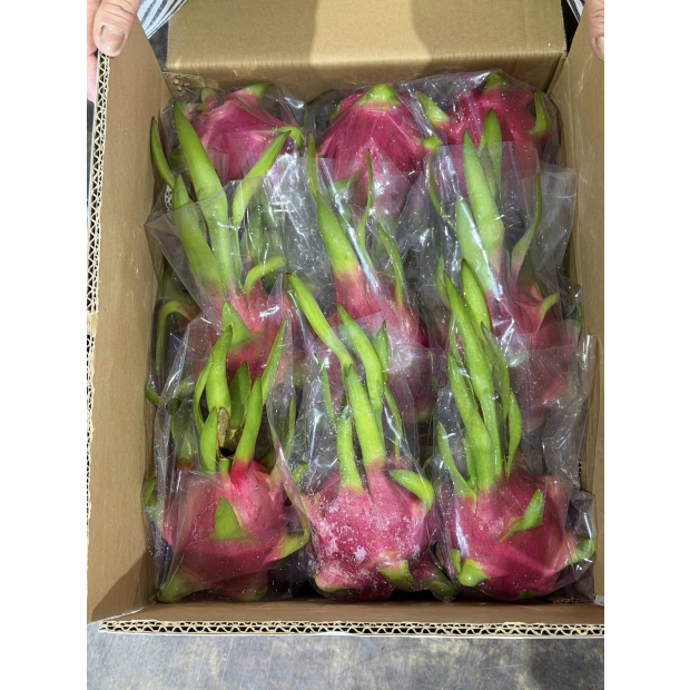 Red & White Dragon Fruit