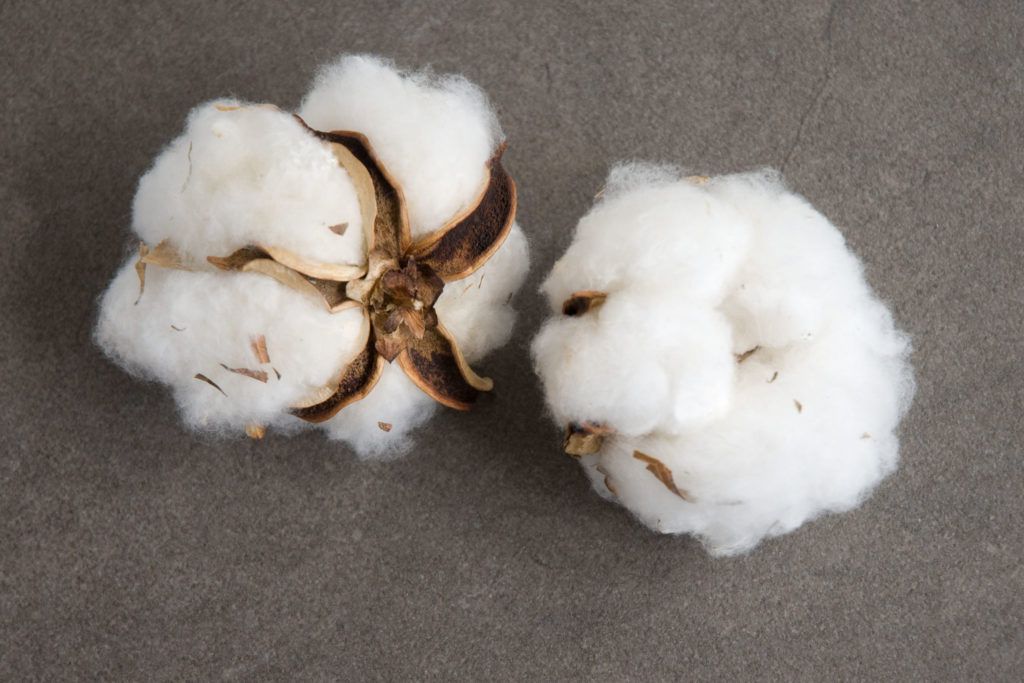 Global cotton balance turns tighter as demand hits six-year high