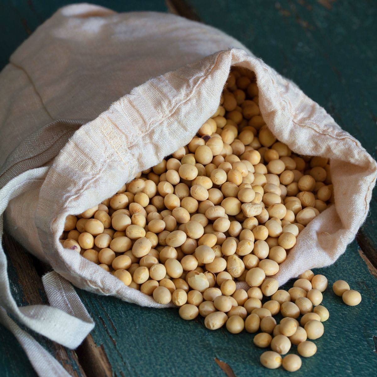 The Amazing Benefits of Soybeans for Health and Nutrition