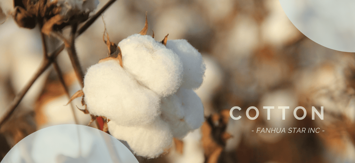 Cotton