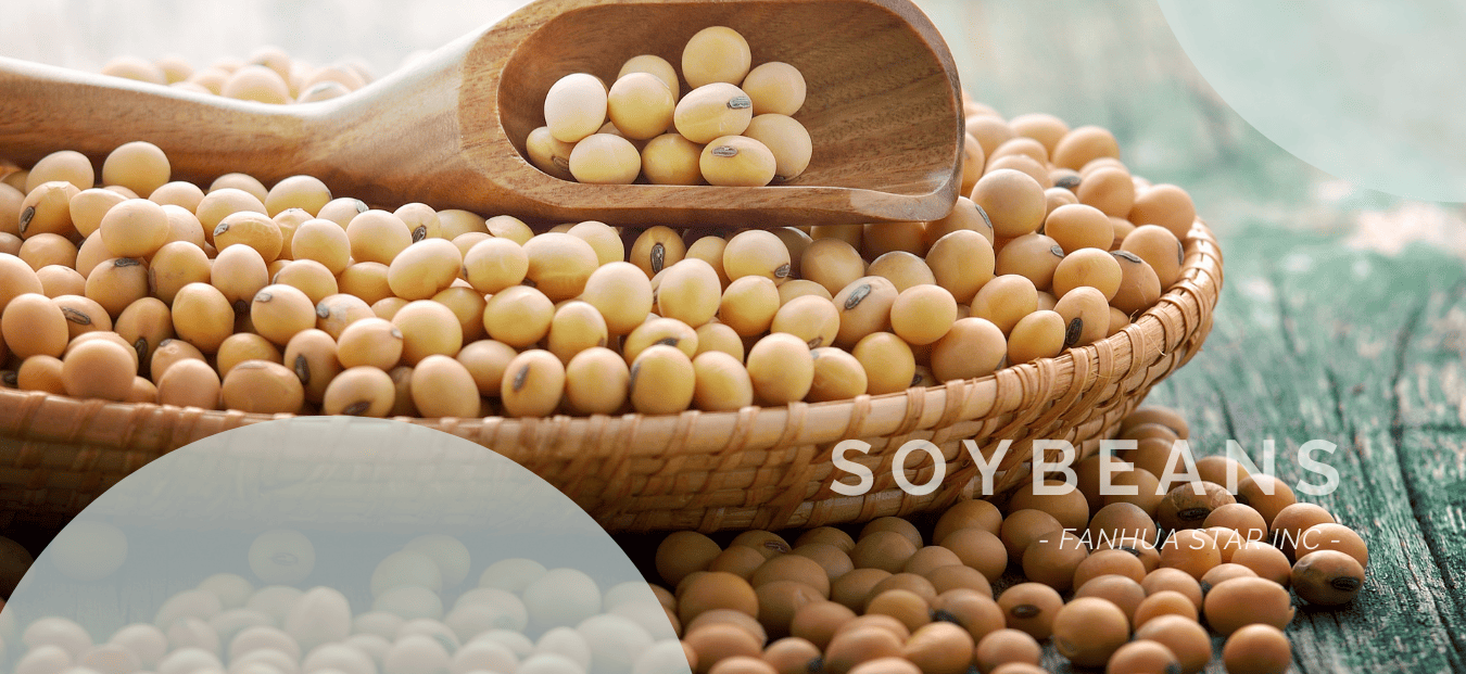 soybeans